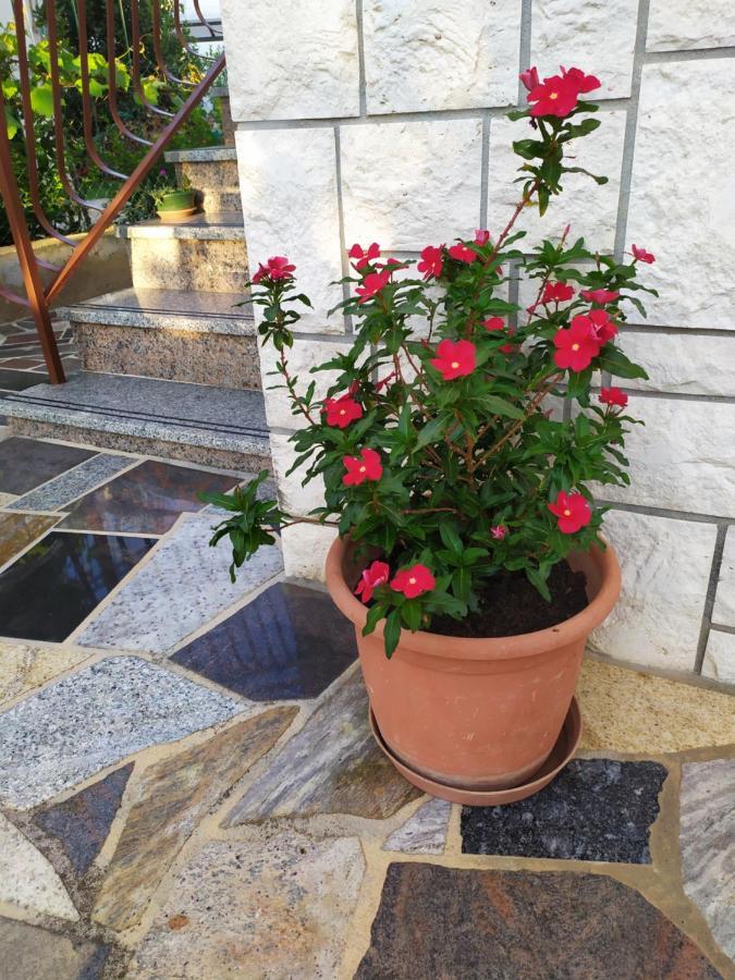 Apartments Samodol Vodice Exterior photo